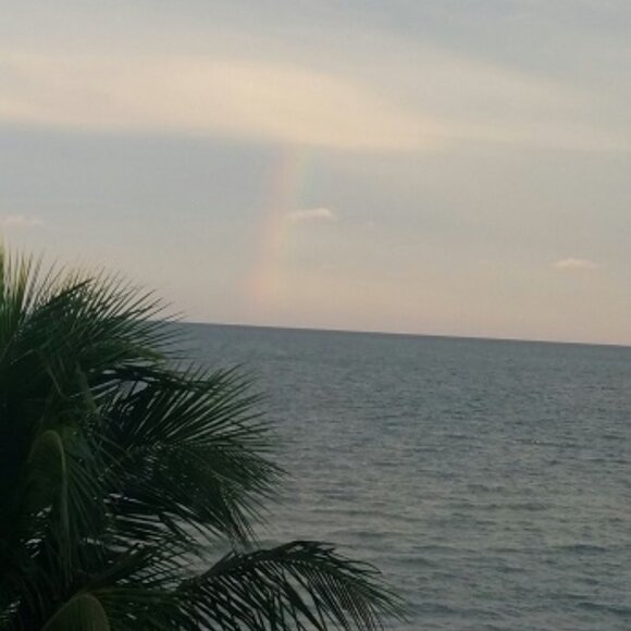 Meet your Posher, Terry - Picture 2 of 2